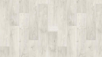 Линолеум Tarkett Discovery RIGARD 1 фото 1 | FLOORDEALER